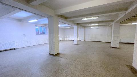 Obr�zek nen� k dispozici.