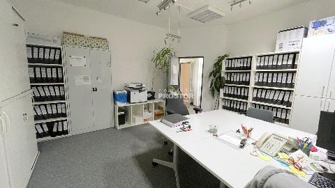 Obr�zek nen� k dispozici.