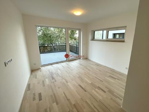 Obrzek nen k dispozici.