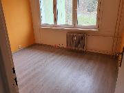 Prodej bytu 4+1, 68 m?  Hamersk, Litvnov (drustevn vlastnictv)