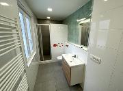 Pron�jem ateli�ru v ulici D�lnick� 395, BIO Ji��n (A0302)