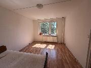 Pron�jem bytu 1+1 v Chomutov� ulice �koln� p�ina 5133