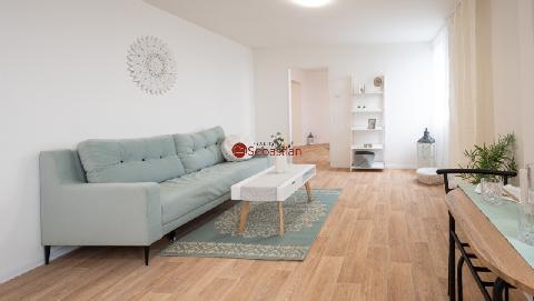 Obr�zek nen� k dispozici.