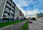 Pronjem krsnho bytu 3+1, 60 m? v Pardubicch  s balkony a zahrdkou