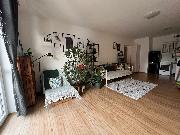 Pron�jem modern�ho bytu 2+kk s balkonem, gar�ov�m st�n�m a sklepem