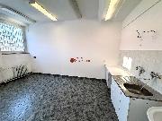 Pron�jem obchodn�ch prostor na ulici Hartigova, Praha - �i�kov