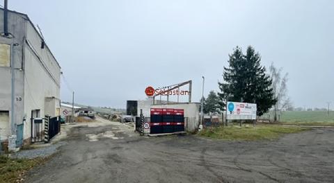 Obr�zek nen� k dispozici.