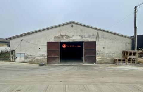 Obr�zek nen� k dispozici.