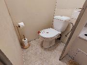 Pron�jem zrekonstruovan�ho bytu 1+1 v ul. K. H. Borovsk�ho, Most