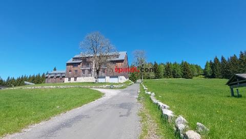 Obr�zek nen� k dispozici.