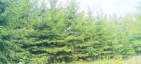 Obr�zek nen� k dispozici.