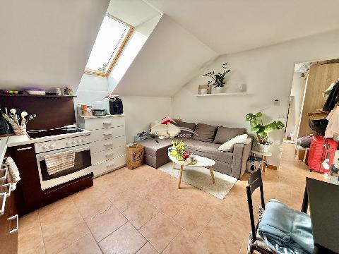 Obr�zek nen� k dispozici.