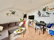 Pron�jem bytu 2+kk, 55 m? � Sv�tl� nad S�zavou