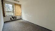 Pronjem kancel 30 m2, Pelhimov