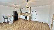 Pron�jem novostavby 1+kk v Havl��kov� Brod�