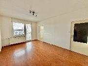 Pron�jem p�kn�ho bytu 2+1 Havl��k�v Brod