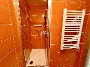 Pron�jem velmi p�kn�ho bytu 1+1, Havl��k�v Brod