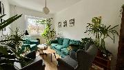 Pron�jem v�t�� ��sti patra v komer�n� budov� 130 m2, Pelh�imov