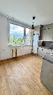 Zrekonstruovan� byt 1+1 Sv�tl� nad S�zavou