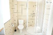 1+1 po kompletn� rekonstrukci, 45 m2, ul. Americk�, Frant. L�zn�