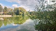 M�STO, KDE ZPOMAL� �AS � REKREA�N� POZEMEK U VODY | MECHOV� U CHEBU