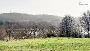 Pozemek 11773 m2, Cetnov Cheb