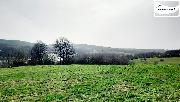 Pozemek 11773 m2, Cetnov Cheb