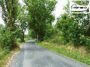 POZEMEK 5 988 m? | FRANTI�KOVY L�ZN� � AMERIKA | REKREACE / INVESTICE