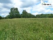 POZEMEK 5 988 m? | FRANTI�KOVY L�ZN� � AMERIKA | REKREACE / INVESTICE