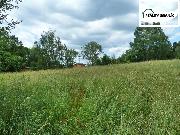 POZEMEK 5 988 m? | FRANTI�KOVY L�ZN� � AMERIKA | REKREACE / INVESTICE