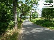 POZEMEK 5 988 m? | FRANTI�KOVY L�ZN� � AMERIKA | REKREACE / INVESTICE