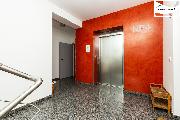 Prodej bytu 1+kk, 49,38 m? � investice se st�vaj�c�m n�jemn�kem