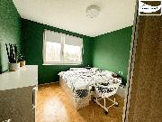 Prodej bytu 3+1, po kompletn rekonstrukci, 65 m2,  ul. Karla apka, Frant. Lzn