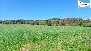 Prodej  pozemk 152858 m2, obec Skaln