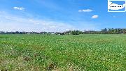Prodej  pozemk 152858 m2, obec Skaln