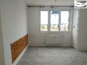Pron�jem 1+1 s kr�sn�m v�hledem, 39 m?, Franti�kovy L�zn�
