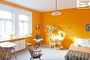 Pronjem 1+KK, 40 m2, ul. Anglick, Frant. Lzn