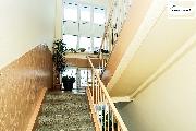 Pron�jem bytu 2+1, 55 m?, sklep, 3. patro � Cheb, ulice P�se�n�