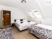 Pron�jem za��zen� garsoni�ry v�. internetu, centrum Cheb