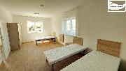 Pronjem zazenho bytu 1+1, 50 m2, ul. Budovatelsk, Frantikovy Lzn