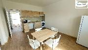 Pronjem zazenho bytu 1+1, 50 m2, ul. Budovatelsk, Frantikovy Lzn
