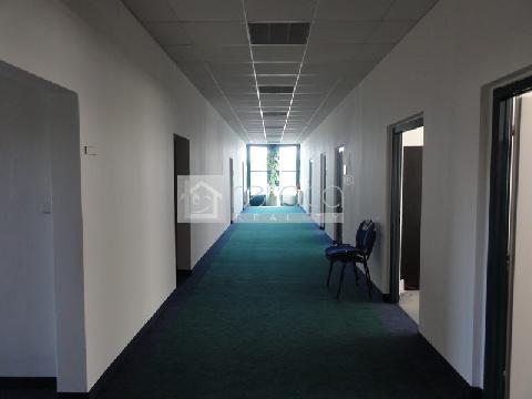 Obr�zek nen� k dispozici.