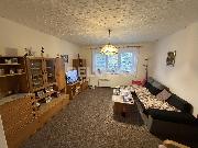 Prodej bytu 3+1, 94 m? , dv� sklepn� k�je