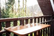Prodej rekrean chaty 70m2, Se, okres Chrudim, proda, pehrada, les, klid.