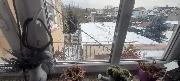 Prodej rodinnho domu, pozemek 480m?,gar,studna