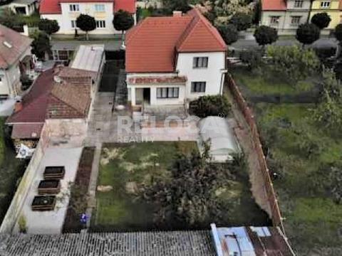 Obr�zek nen� k dispozici.