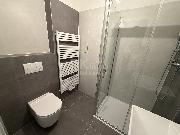 1B24a Prodej bytu, 1+kk, 37.62m? + balk�n 7.76m?, projekt Pod Malechovem, �esk� Brod