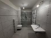C1a Prodej bytu, 1+kk, 49m?, �esk� Brod - Zborovsk�, projekt Antico, dru�stevn� vlastnictv�
