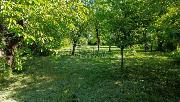 Prodej stavebn parcely pro stavbu rodinnho domu ve tolmi - esk Brod.
