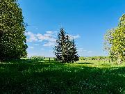 Prodej, stavebn� pozemek u lesa, 1 232 m?, T�i Sekery - Chodovsk� Hu�, okres Cheb